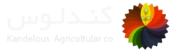 کندلوس